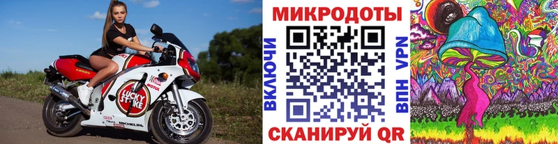 Псилоцибиновые грибы MAGIC MUSHROOMS  Купить  Спас-Клепики 